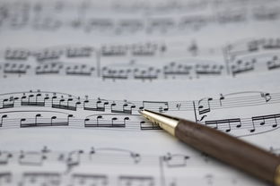 开云体育登录入口-NBA球员职业规划建议与实施，nba球员怎么规划锻炼和训练